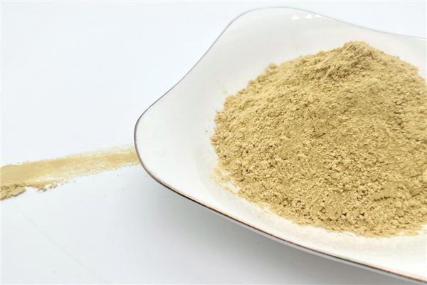 脱水姜粉 / 生姜パウダー / Dried Ginger Powder
